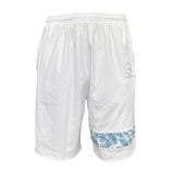 1st LINE PAISLEY SERIES